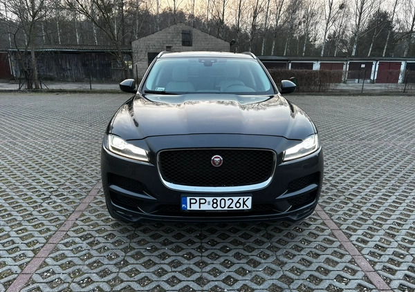 Jaguar F-Pace cena 125500 przebieg: 81000, rok produkcji 2017 z Jawor małe 562